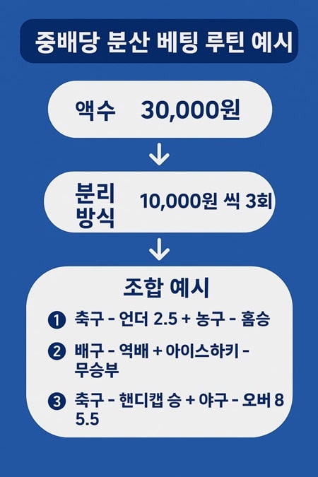 중배당 분산 배팅 루틴 예시