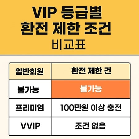 VIP 등급별 환전 제한 조건 비교표