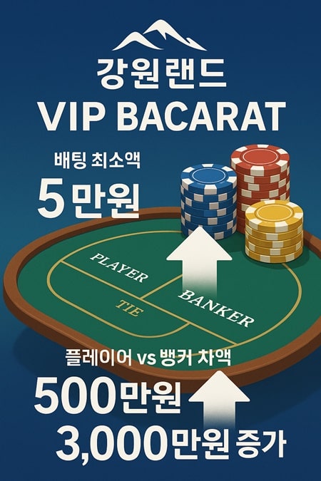강원랜드 VIP 바카라 배팅한도 상향