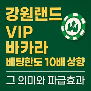 강원랜드 VIP 바카라 배팅한도 10배 상향