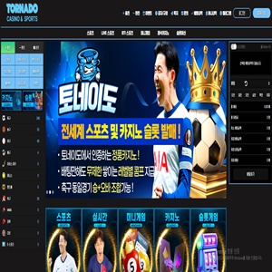토네이도 먹튀